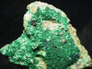 Devilline-21346.jpg