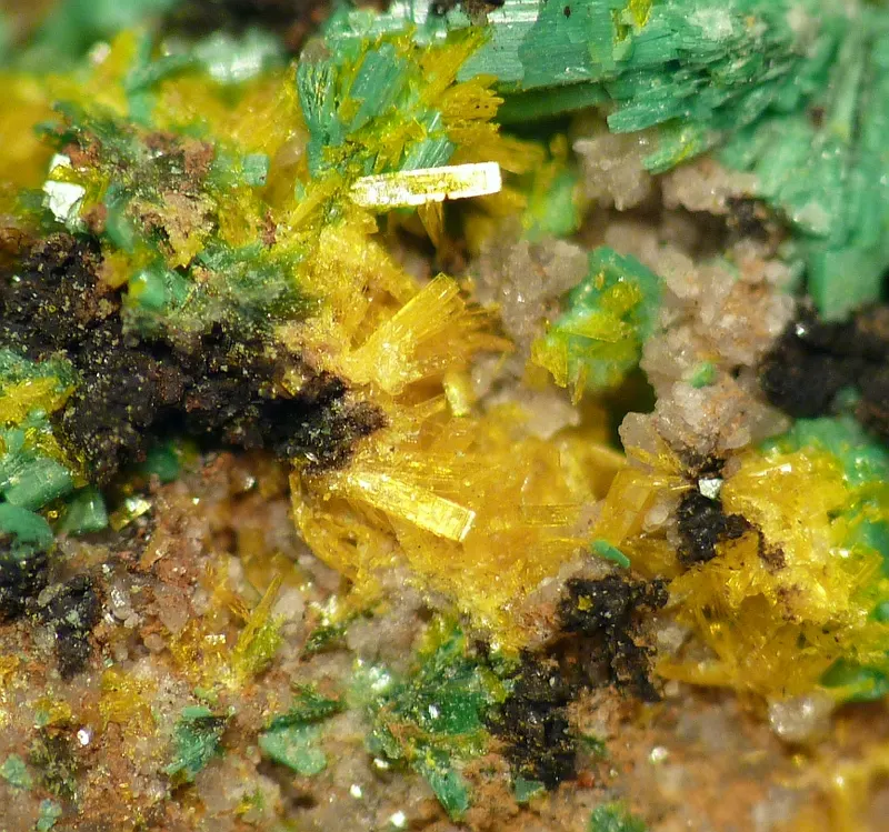 Dewindtite-571792.jpg