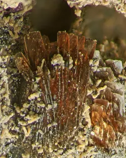 Allactite-442313.jpg