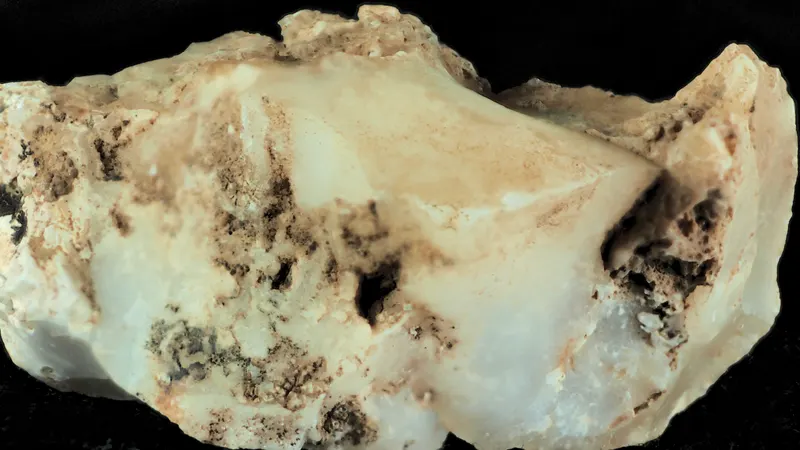 2014-08-16-15.30.33 ZS PMax Mexican Onyx-1 (14917406766).jpg
