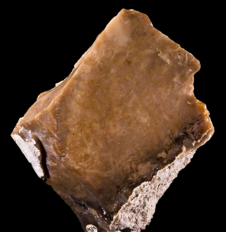 Menilite.jpg