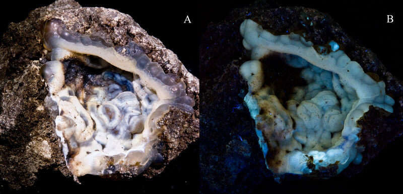 Opal-CT