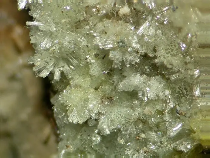 Dickthomssenite-86745.jpg