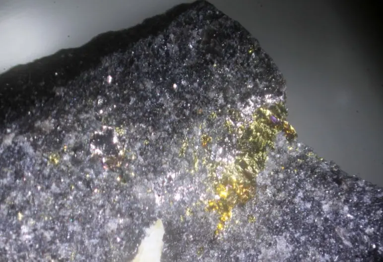 Dienerite & Sobolevskite.jpg