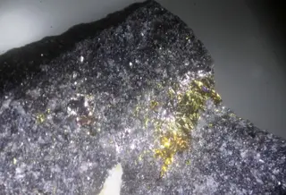 Dienerite & Sobolevskite.jpg