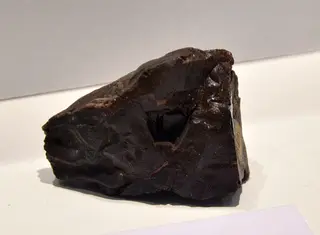 Mus Hist Nat Lille Ozokerite 12052013.jpg