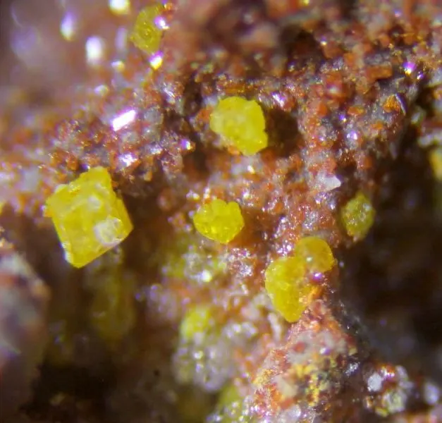 Dimorphite.jpg