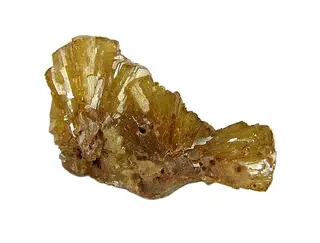 Paradamite-76627.jpg
