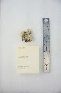 Paratellurite (48904650426).jpg