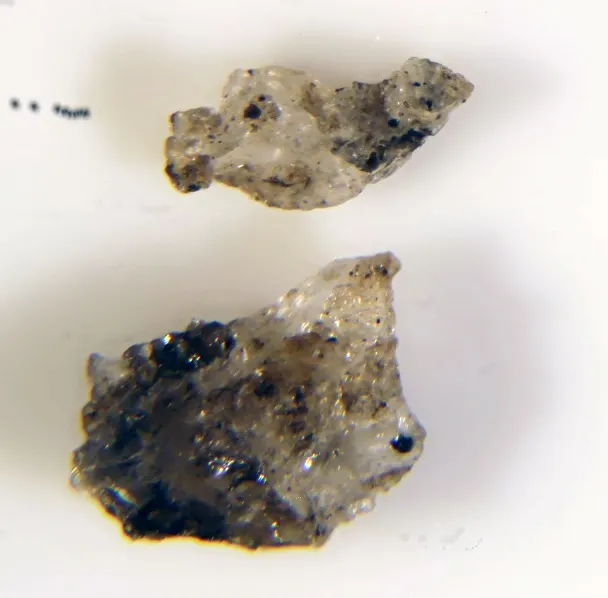 Dittmarite.jpg