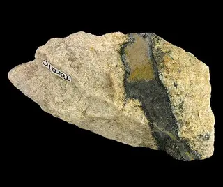 Tornebohmite-(Ce)-Allanite-(Ce)-228535.jpg