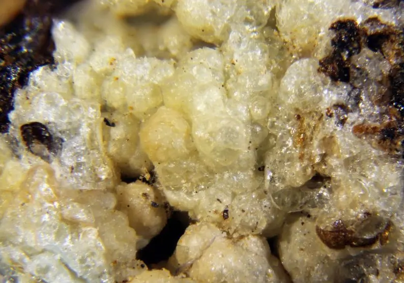 Donbassite.jpg