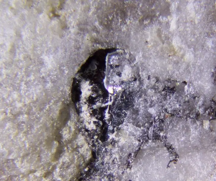 Donharrisite.jpg