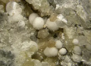 Dresserite-111333.jpg
