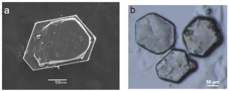 Crystals of dritsite.png