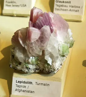 Naturkundemuseum Berlin - Lepidolith, Taprok, Afghanistan.jpg