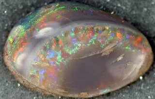 Opalized fossil bivalve, Coober Pedy Opal Field, South Australia.jpg