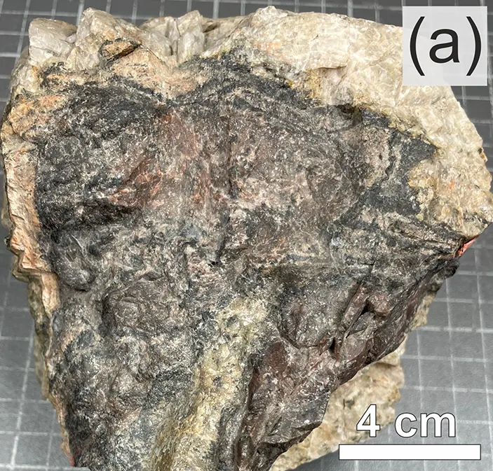 Allanite-(Y) samples (a).png