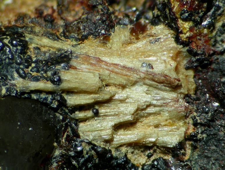 Allanpringite