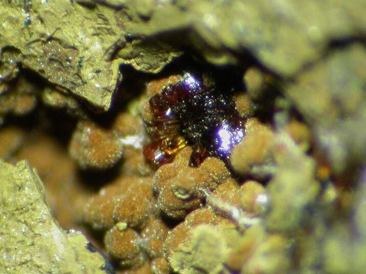 Earlshannonite