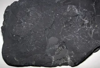 Shungite (Zaonezhskaya Formation, middle Paleoproterozoic, 1.98-2.09 Ga; Shun'ga River area, northwestern Russia) 17.jpg