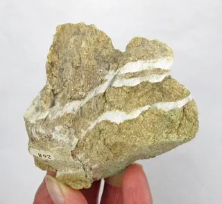 Eastonite, Tremolite-612247.jpg