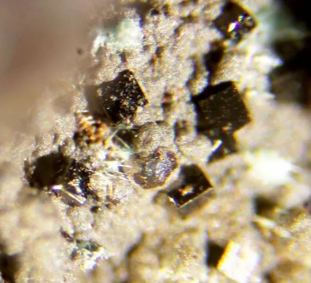 Eddavidite.jpg
