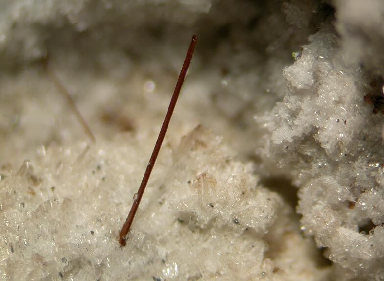 Ferro-edenite