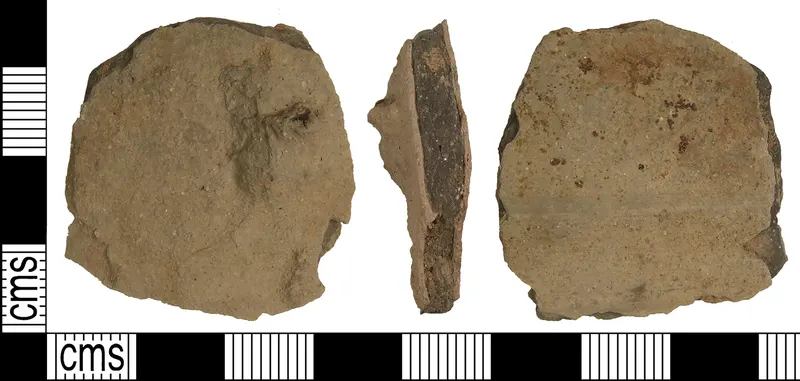 Probably a wall sherd of a medieval cooking pot (FindID 452522).jpg