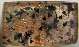 NT14 resized.jpg