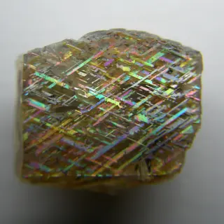NT41.jpg