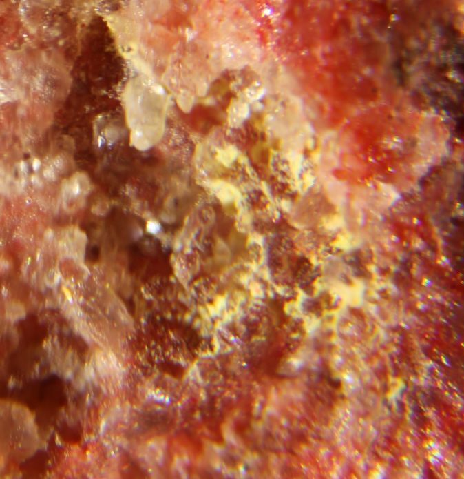 Eglestonite
