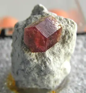 Beryl-162493.jpg
