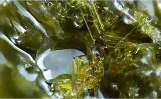 Eglestonite-1065334.jpg