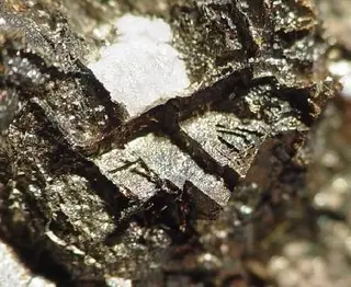 Allargentum-177691.jpg