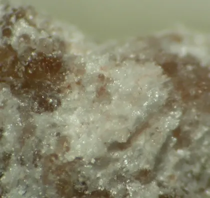 Ekaterinite-290286.jpg