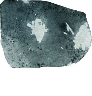 Safflorite.jpg