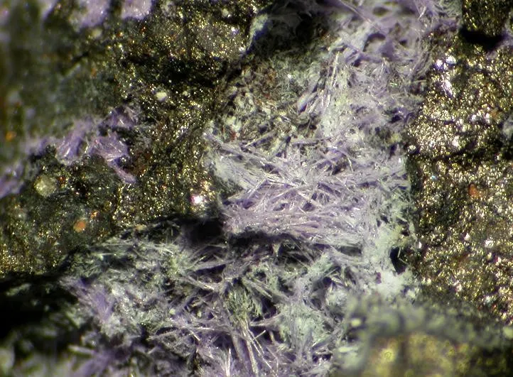 Elyite-90906.jpg