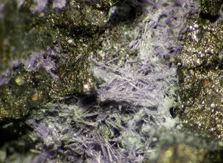 Elyite-90906.jpg