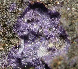 Elyite-402629.jpg