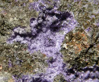 Elyite-402630.jpg