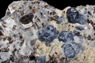 Sapphirine2 (Madagascar).jpg