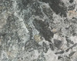 Empressite-583055.jpg