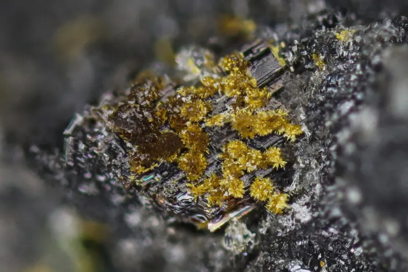 Engelhauptite AufmKopp 0,3mm.jpg
