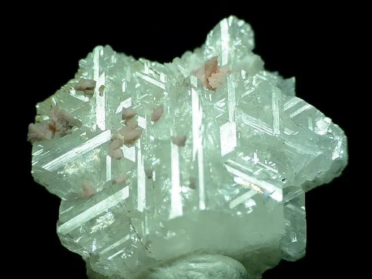Epididymite-20289.jpg