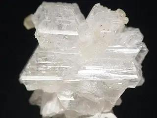 Epididymite-20291.jpg