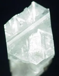 Epididymite-20293.jpg