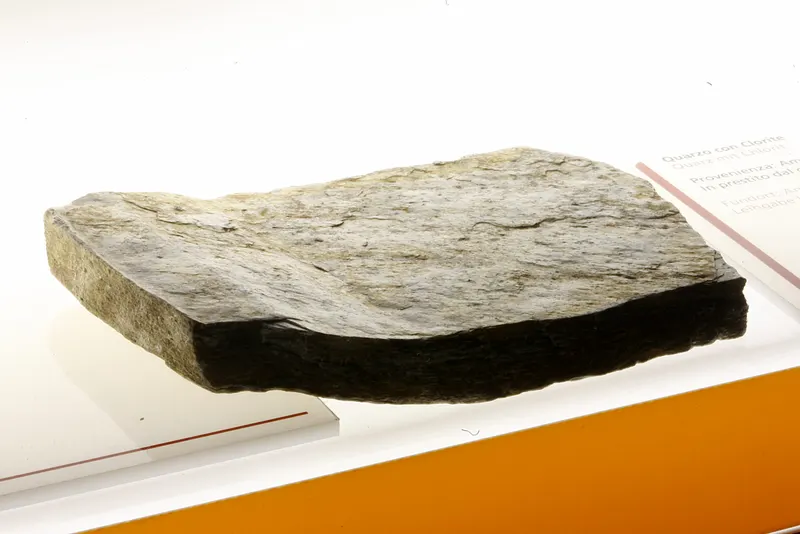Sericite phyllite mg 7957.jpg