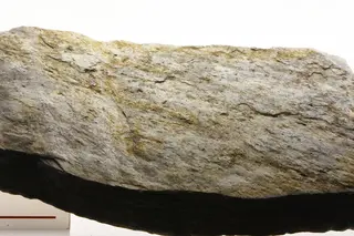 Sericite phyllite mg 7959.jpg