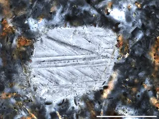 Boltysh IMR shocked quartz XPL.jpg